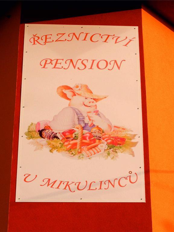 Penzion U Mikulincu ميكولوف المظهر الخارجي الصورة